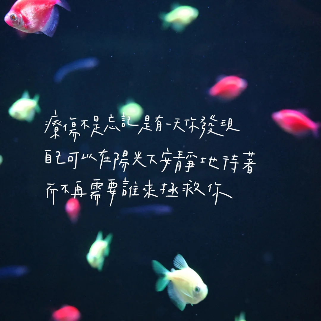 故事配圖